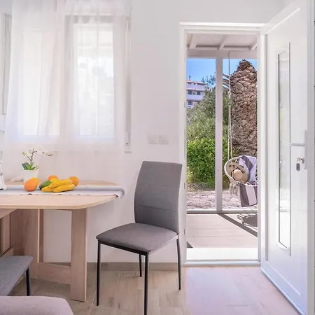 In - Zf Hvar